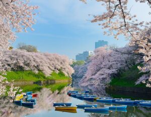 桜　川　千代田区