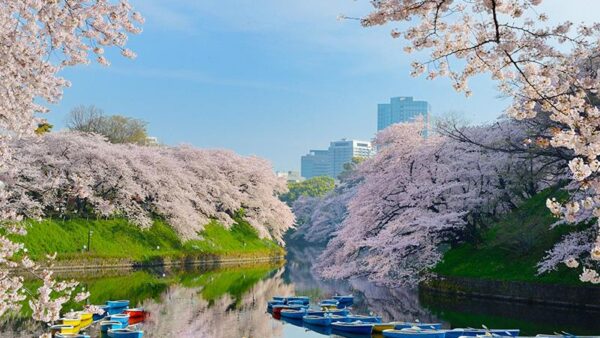 千代田区の魅力やマンションのメリットや快適性