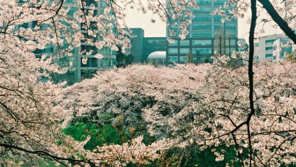千代田区のマンションっていくら位で買えるの？