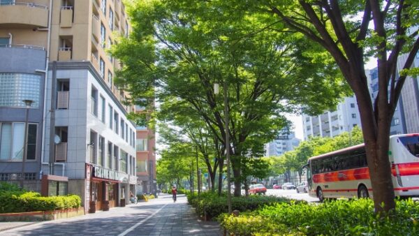 サブリース付きオーナーチェンジ物件に要注意