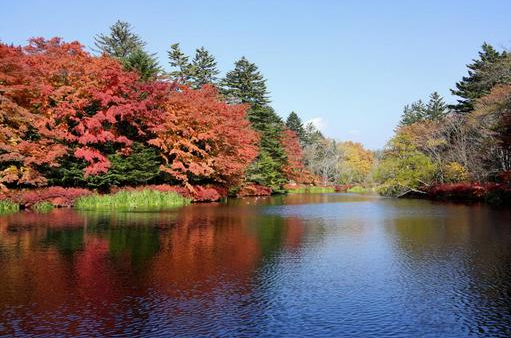 軽井沢の歴史が蘇る！万平ホテルの再生と森トラストの戦略