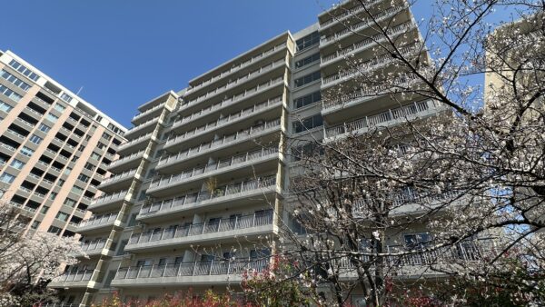 Tsukishima River House Building B – A Spacious Riverside Residence with River Views and Rare Flat Parking